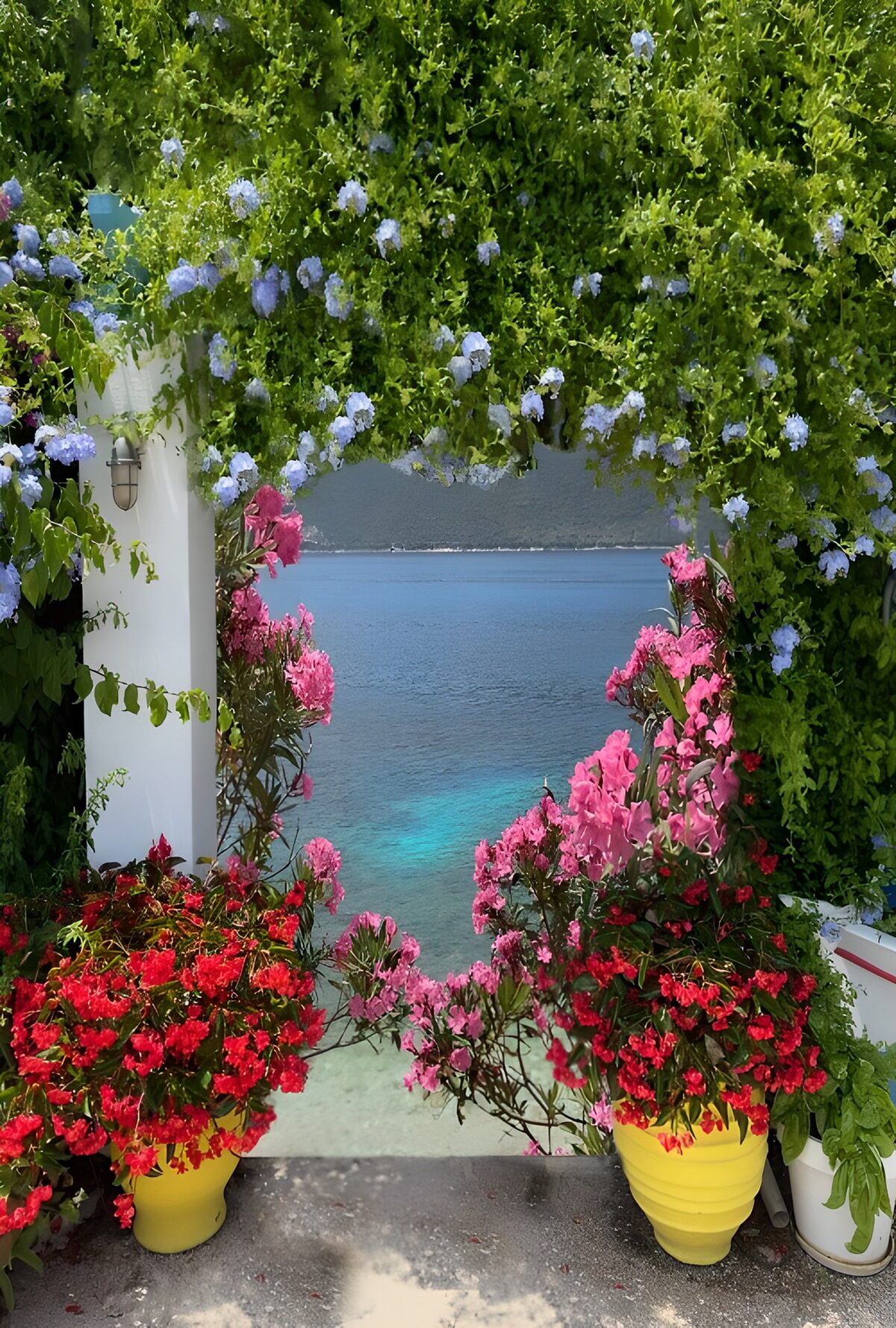Bloemen en Blauw Water