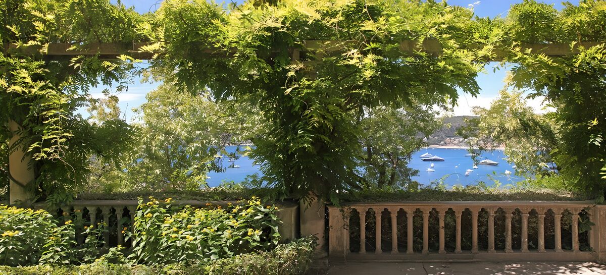 Uitzicht vanaf een groene pergola