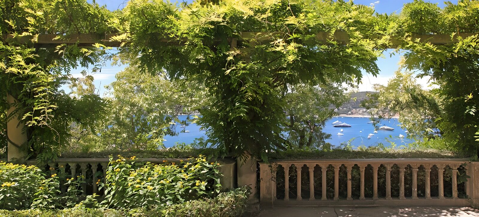 CW2222024: Uitzicht vanaf een groene pergola