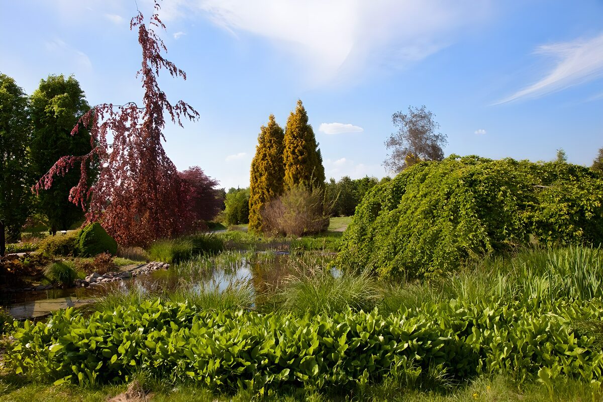 Prachtige tuinscène met vijver en bomen