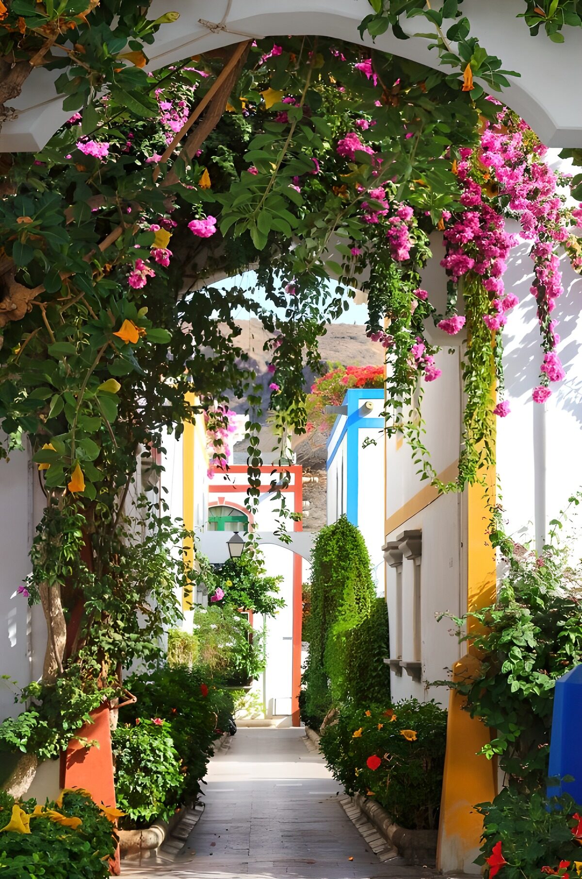 CW4939894: Kleurrijke tuinpaden vol bloemen