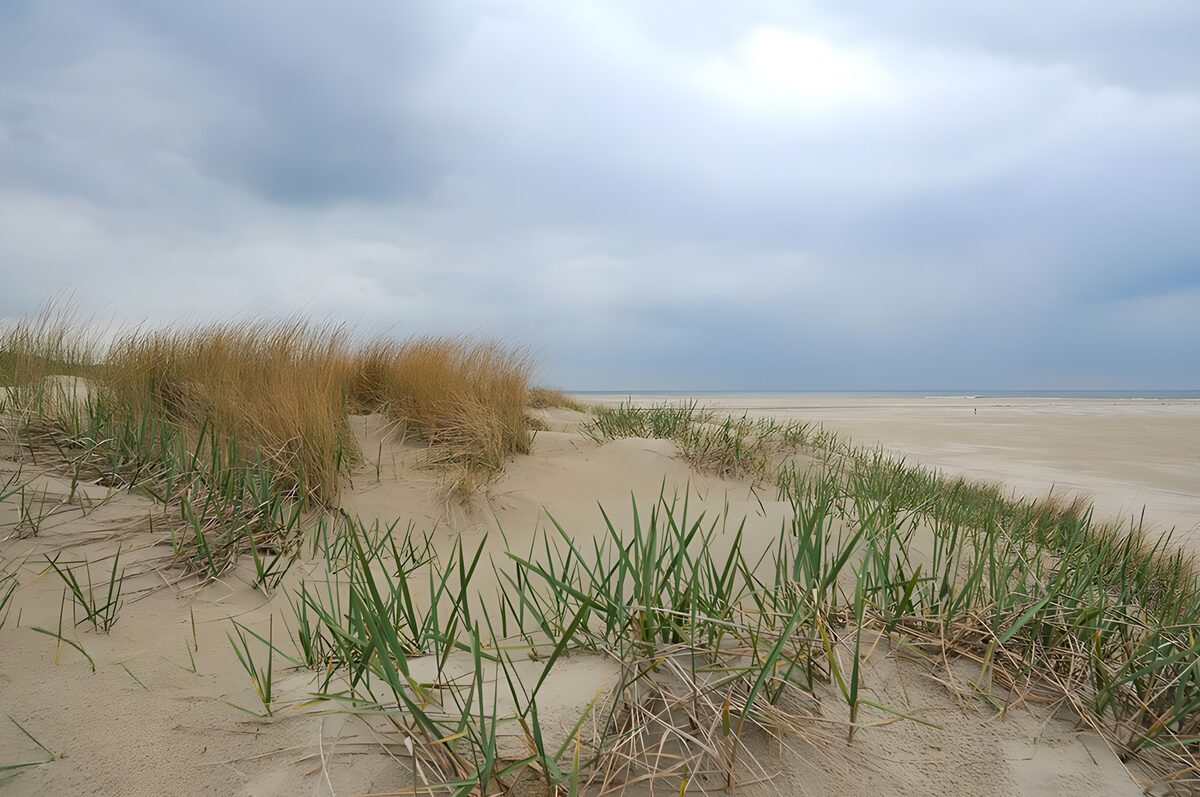 Kustlandschap met duinen en bewolkte lucht
