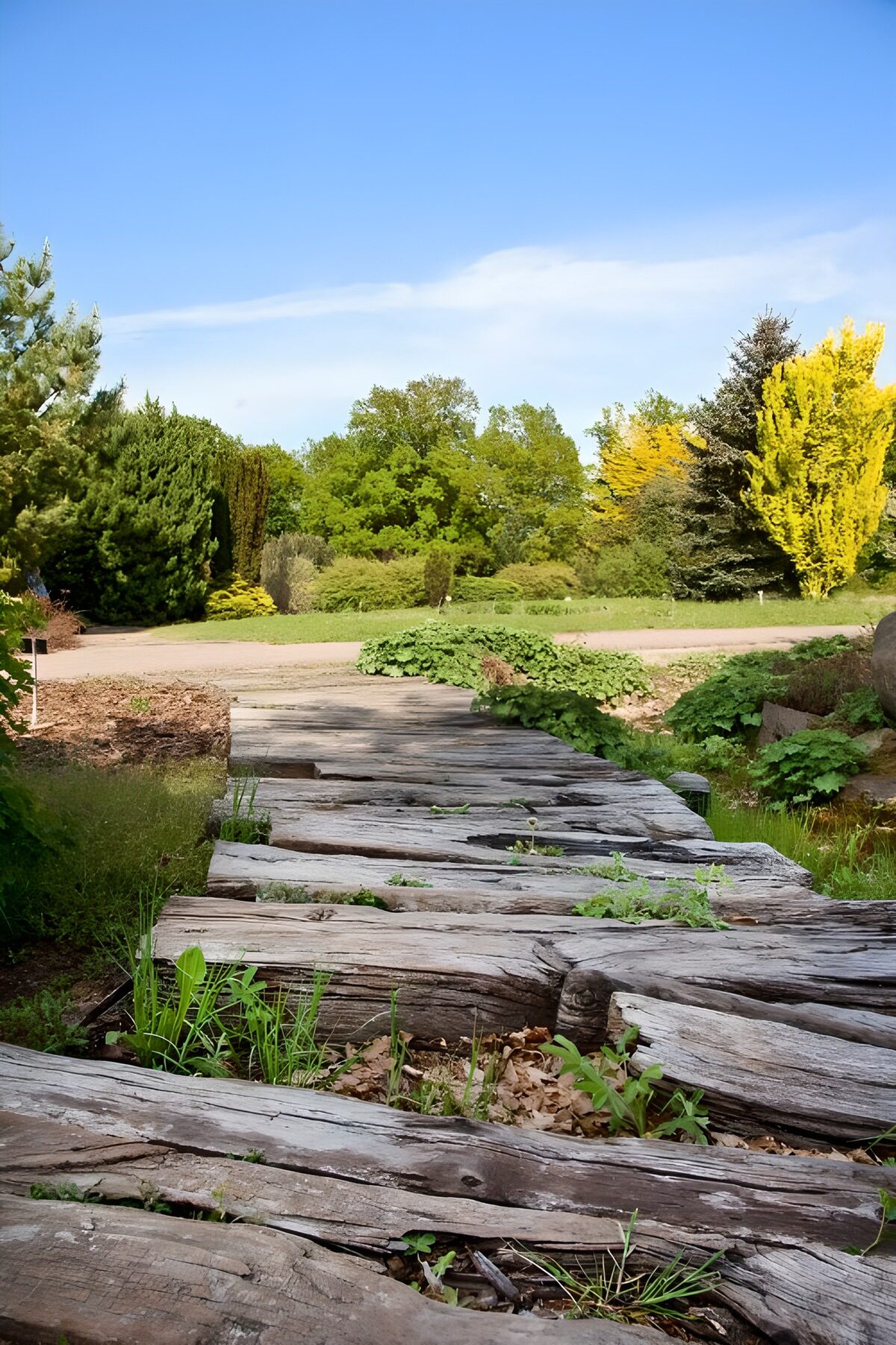 Natuurlijke houten brug in de tuin