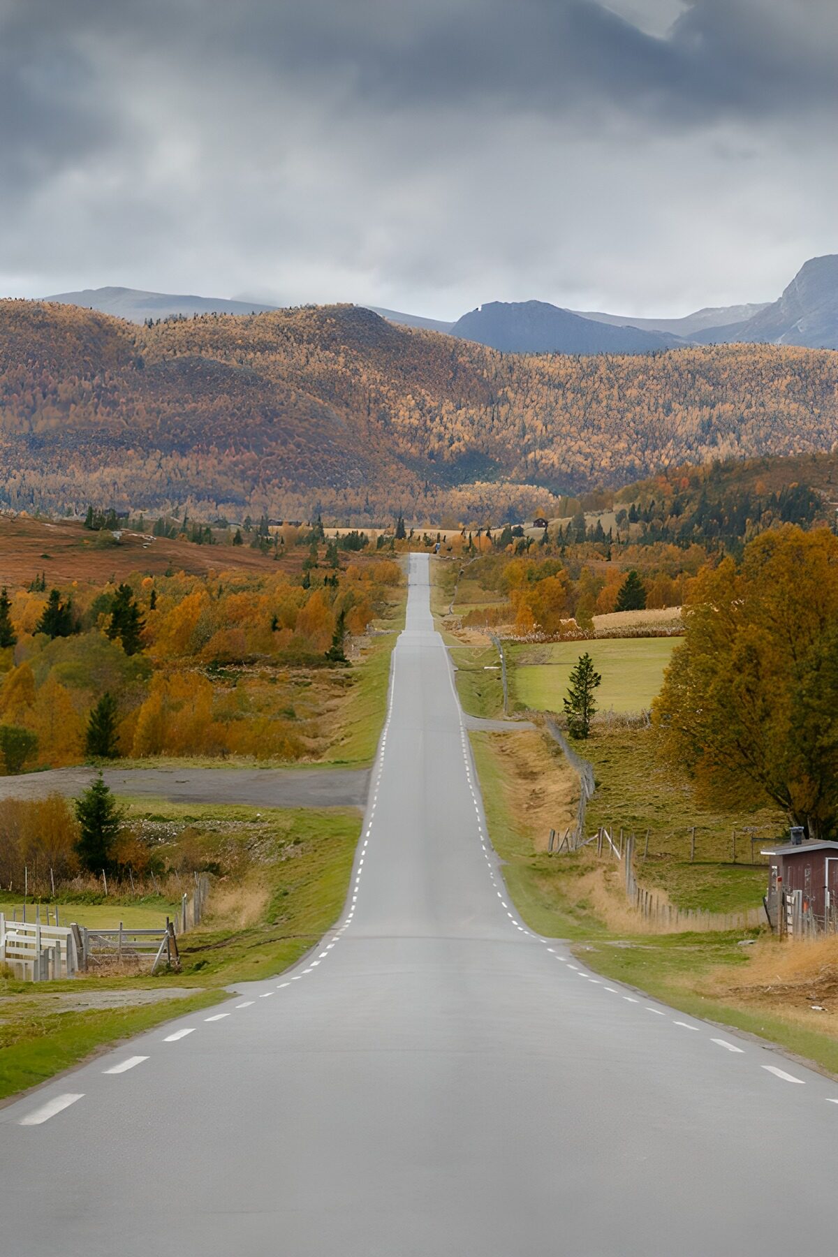 Prachtige herfstweg door de bergen