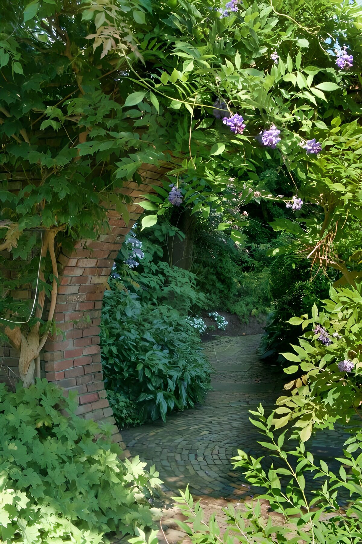 Groene doorgang vol bloeiende planten