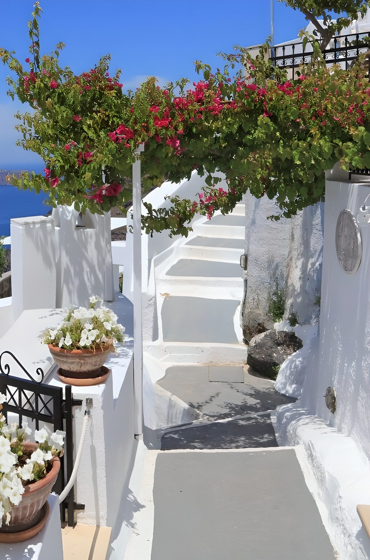 CW5672409: Prachtig wit pad met bloemen
