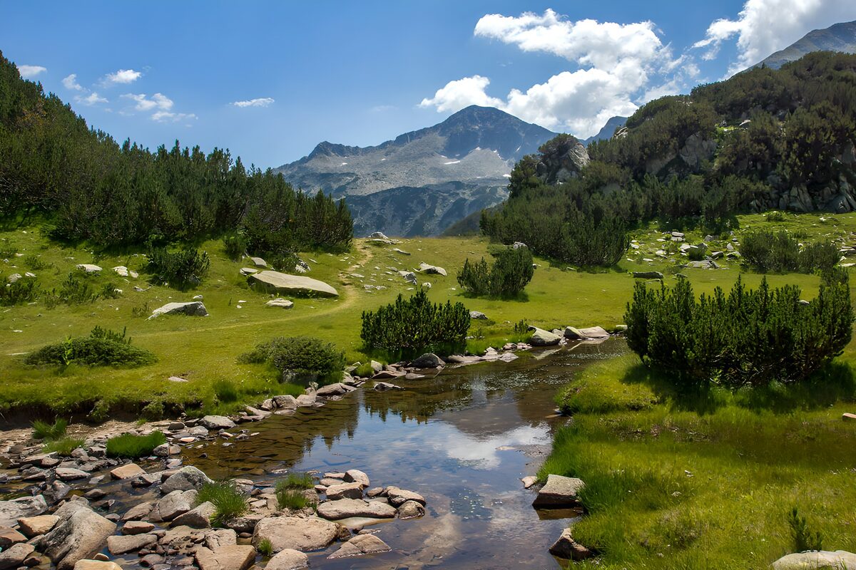 Prachtig Berglandschap met Stroompje
