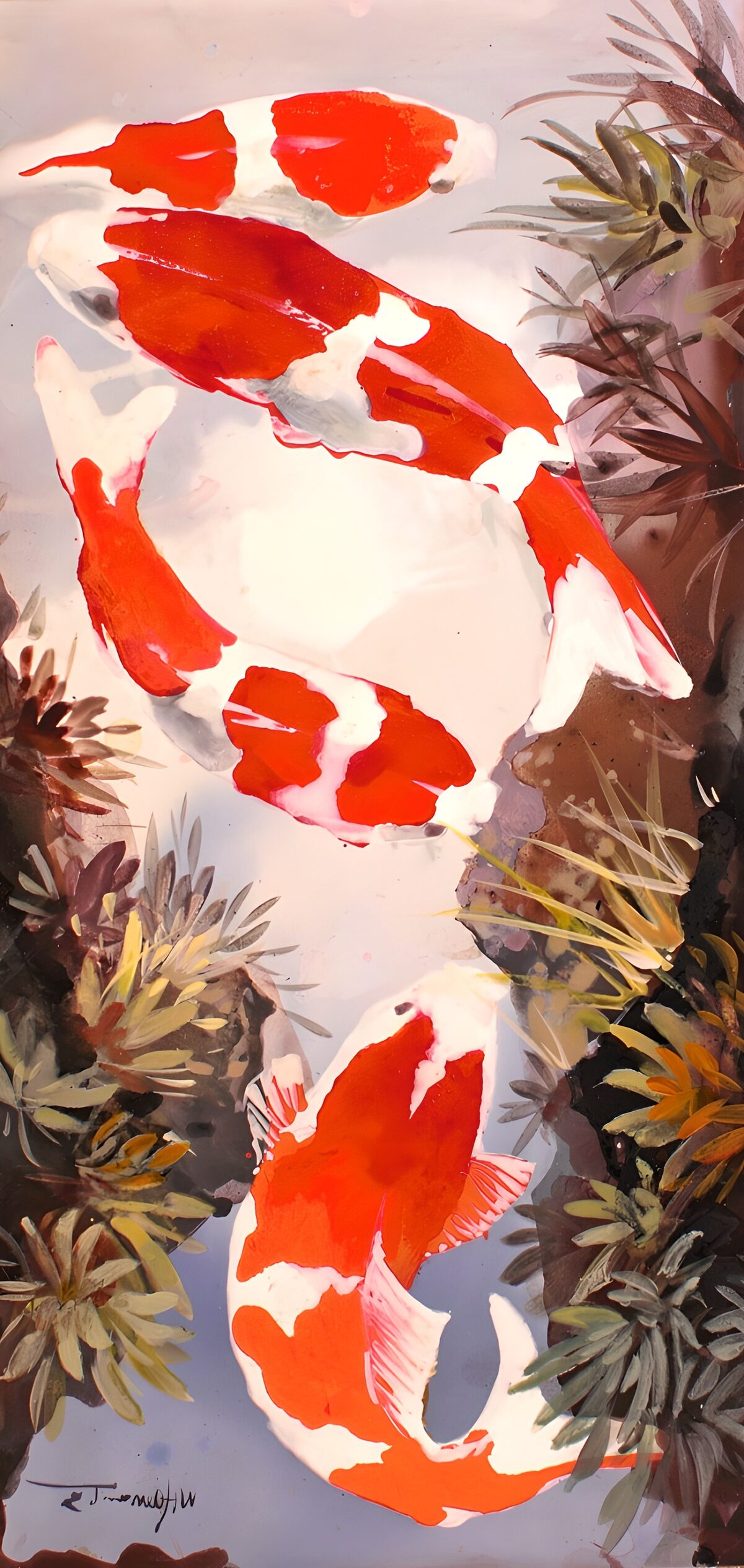 Koi-vissen in rustgevende omgeving
