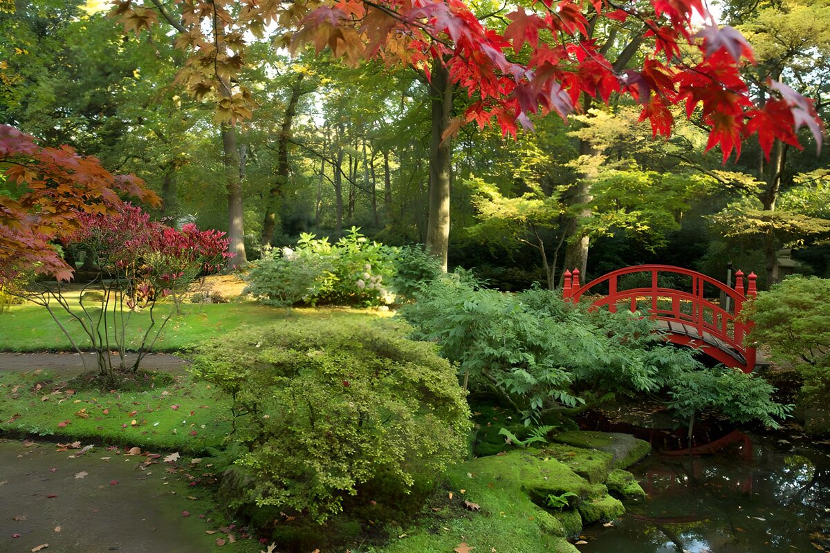 Mooi herfstlandschap met brug