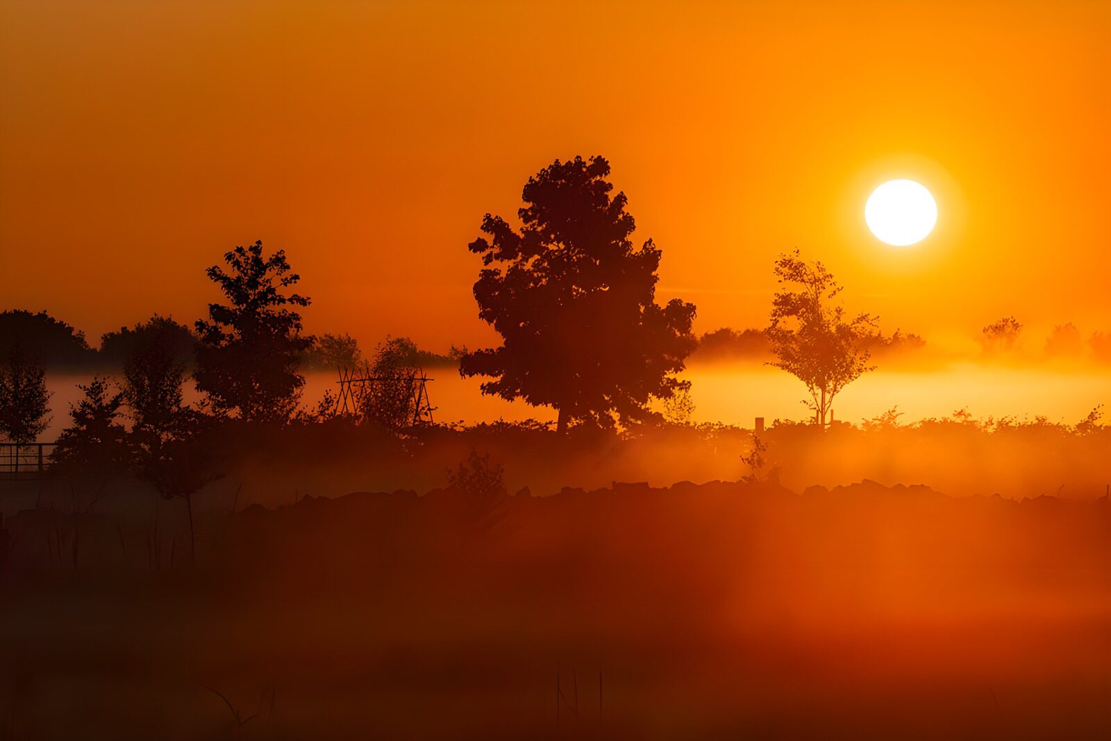 CW4555661: Gloeiende Zonsopgang boven Mistig Landschap