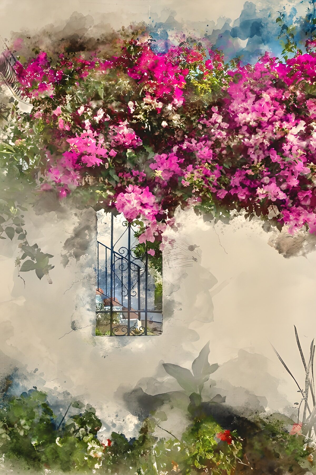Bloeiende bougainvillea bij een raam