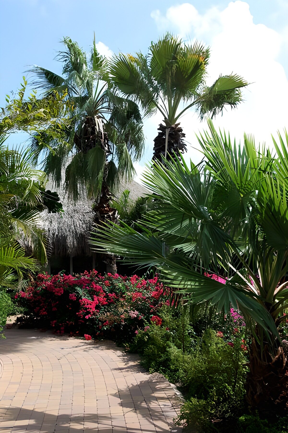 Tropische tuin met palmbomen en bloemen