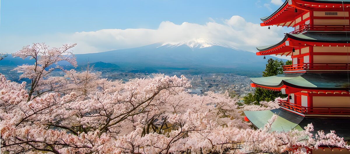 Blooming Sakura bij de Fuji-berg