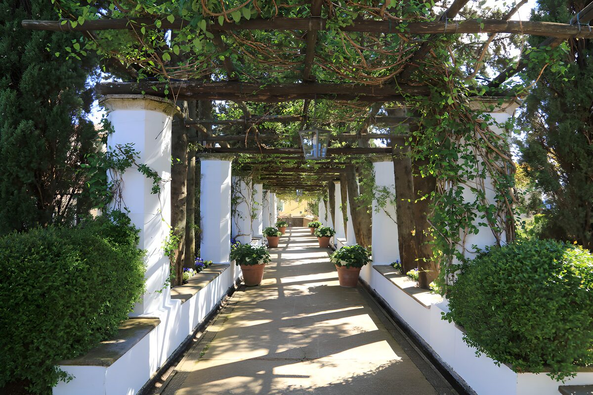 CW5068423: Prachtige Laan Onder Een Pergola