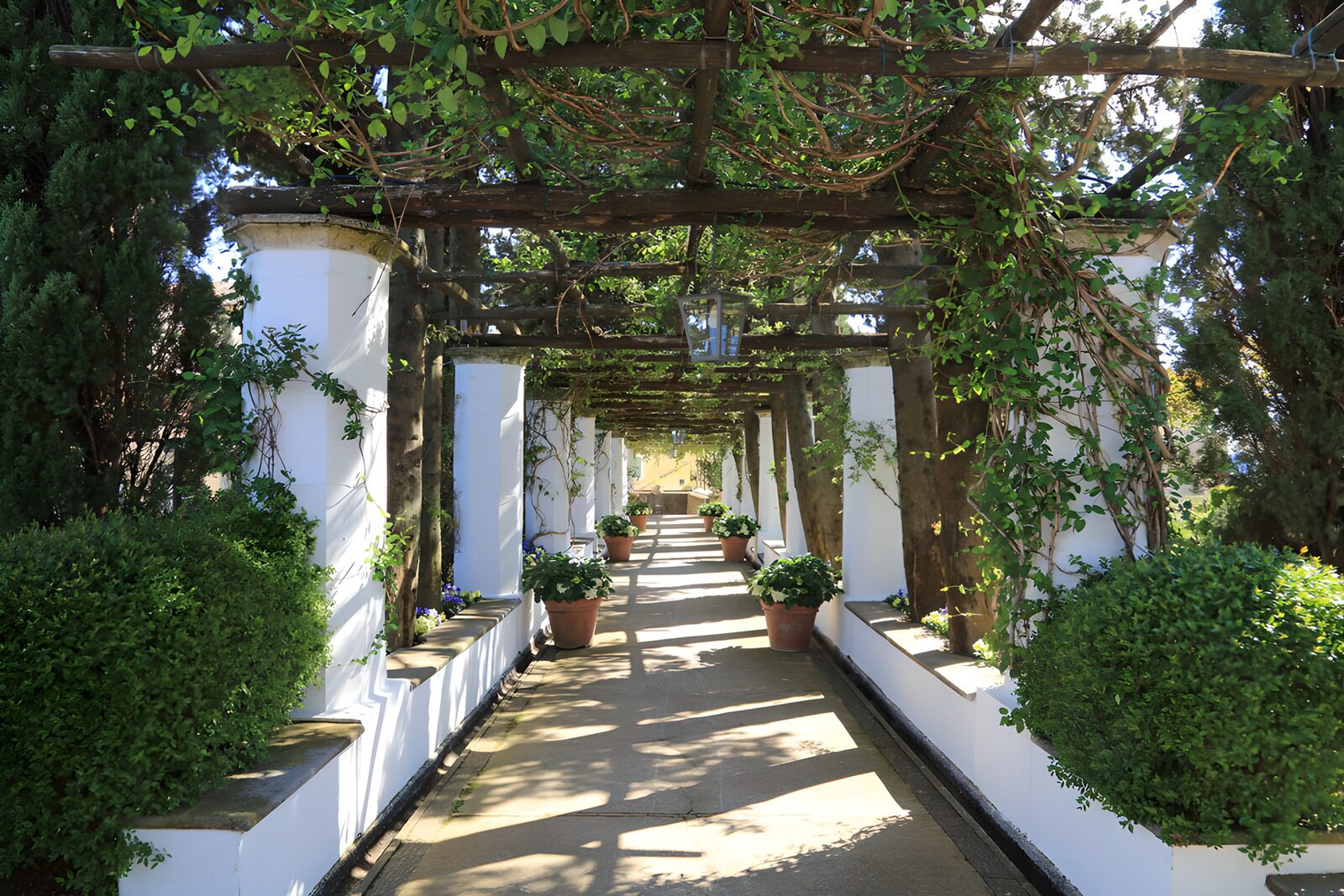 CW5068423: Prachtige Laan Onder Een Pergola