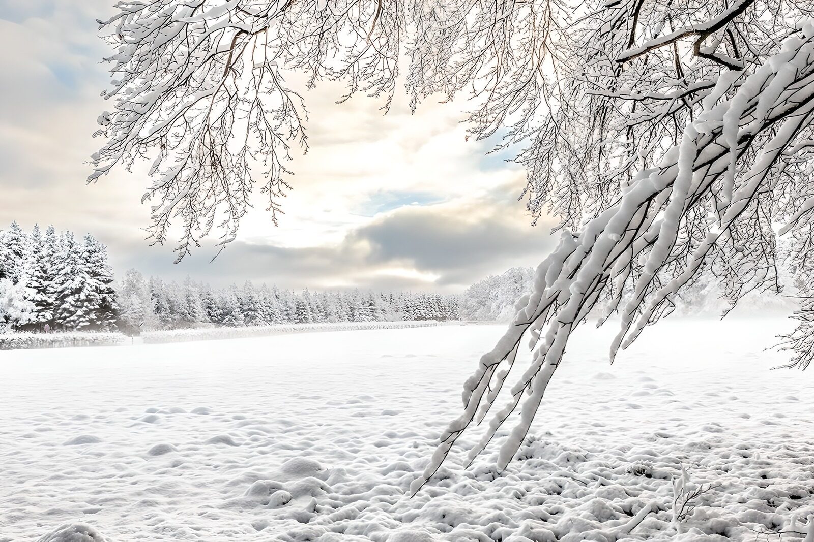 CW7226821: Sneeuwlandschap onder een bewolkte hemel