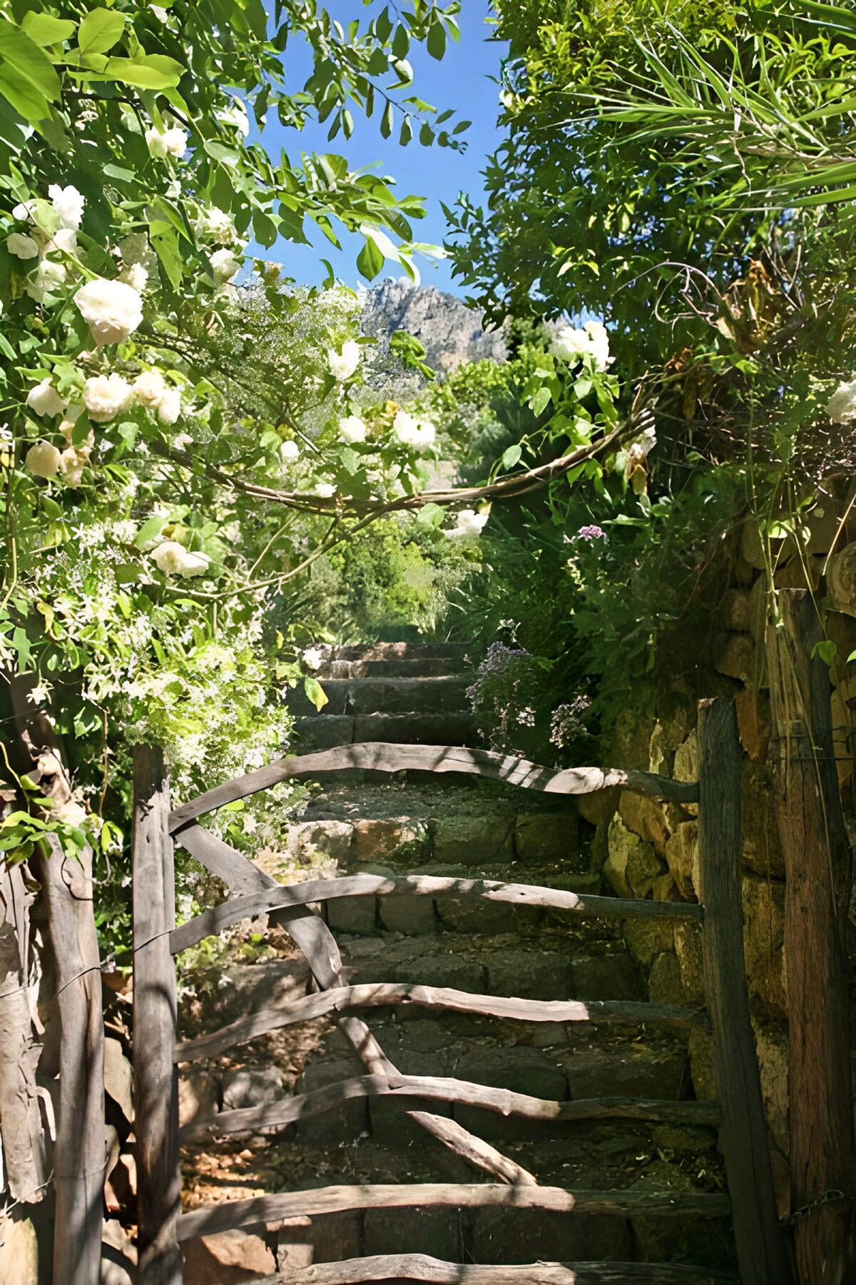 Betoverend Pad door Groene Tuin
