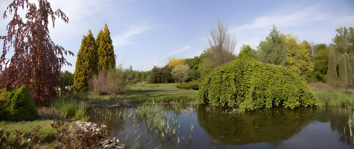 Prachtig natuurgebied met reflecterend water
