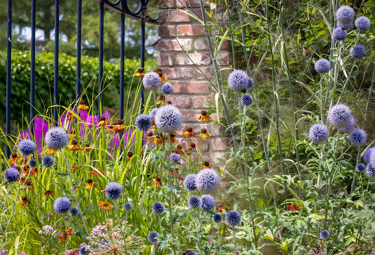 Bloemenpracht bij de stenen muur