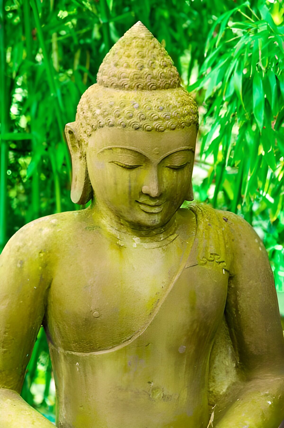 Oude Buddha-beeld omringd door groen