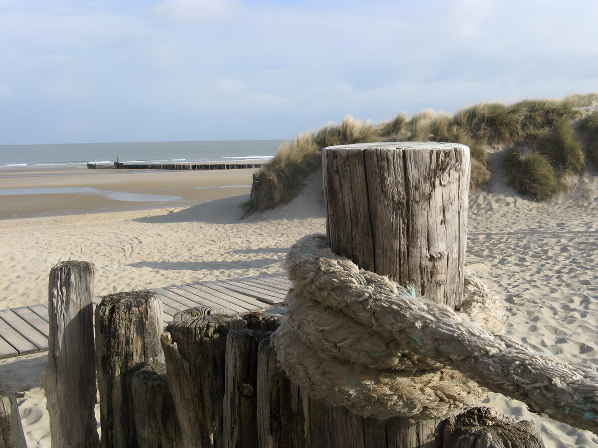 Rustige strandscène met houten palen