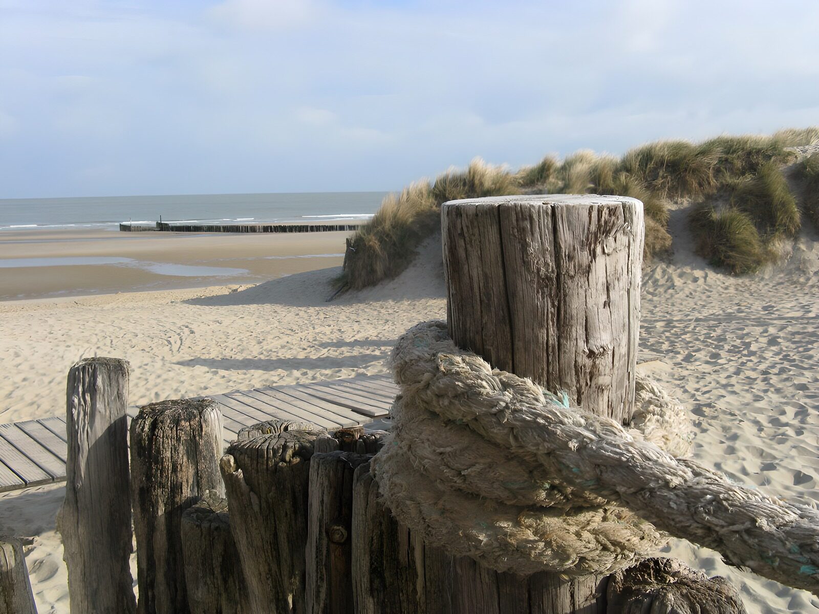 CW1398809: Rustige strandscène met houten palen