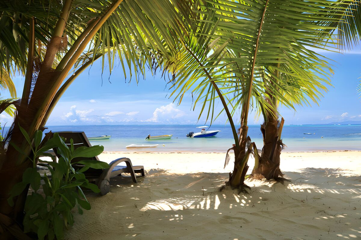 Paradijs onder palmbomen