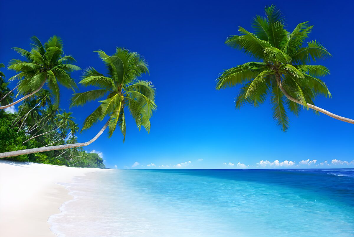 CW2262483: Tropisch strand met palm bomen