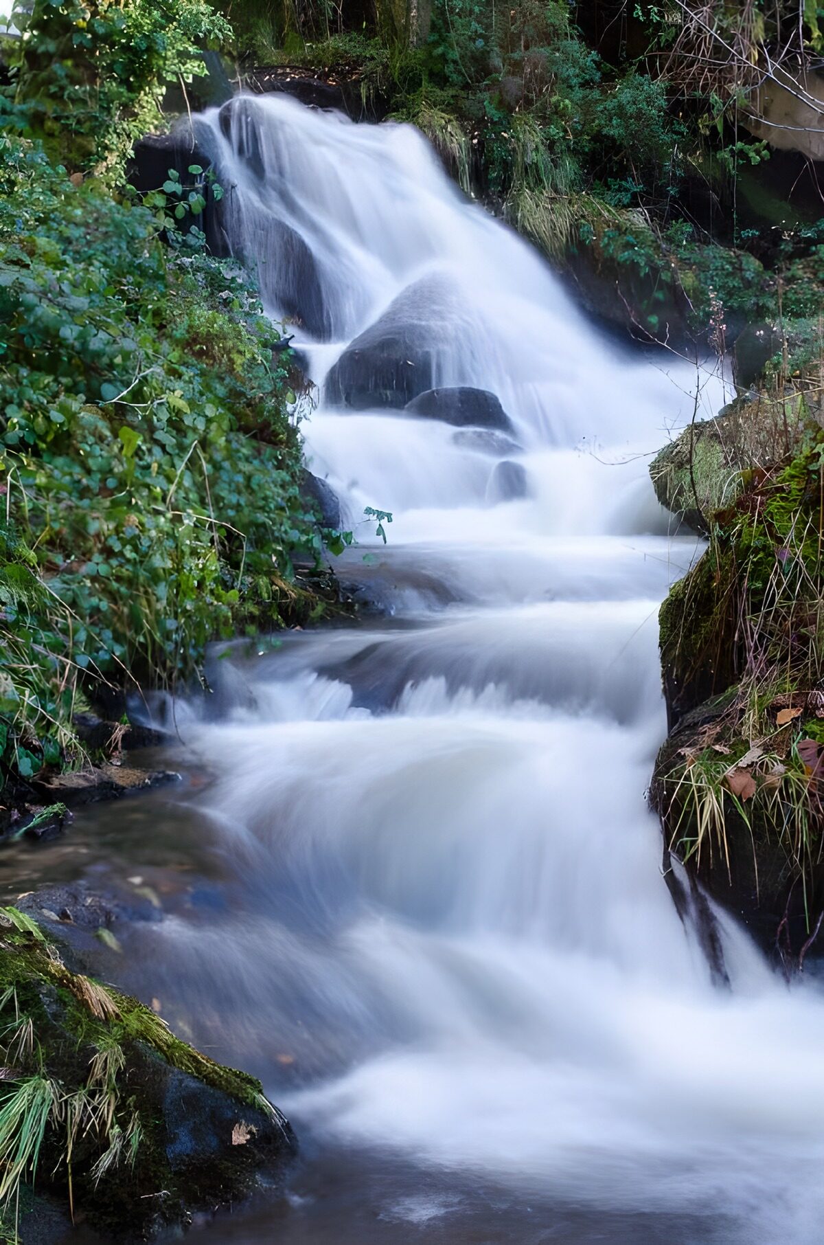 Sereen Stromend Water in de Natuur