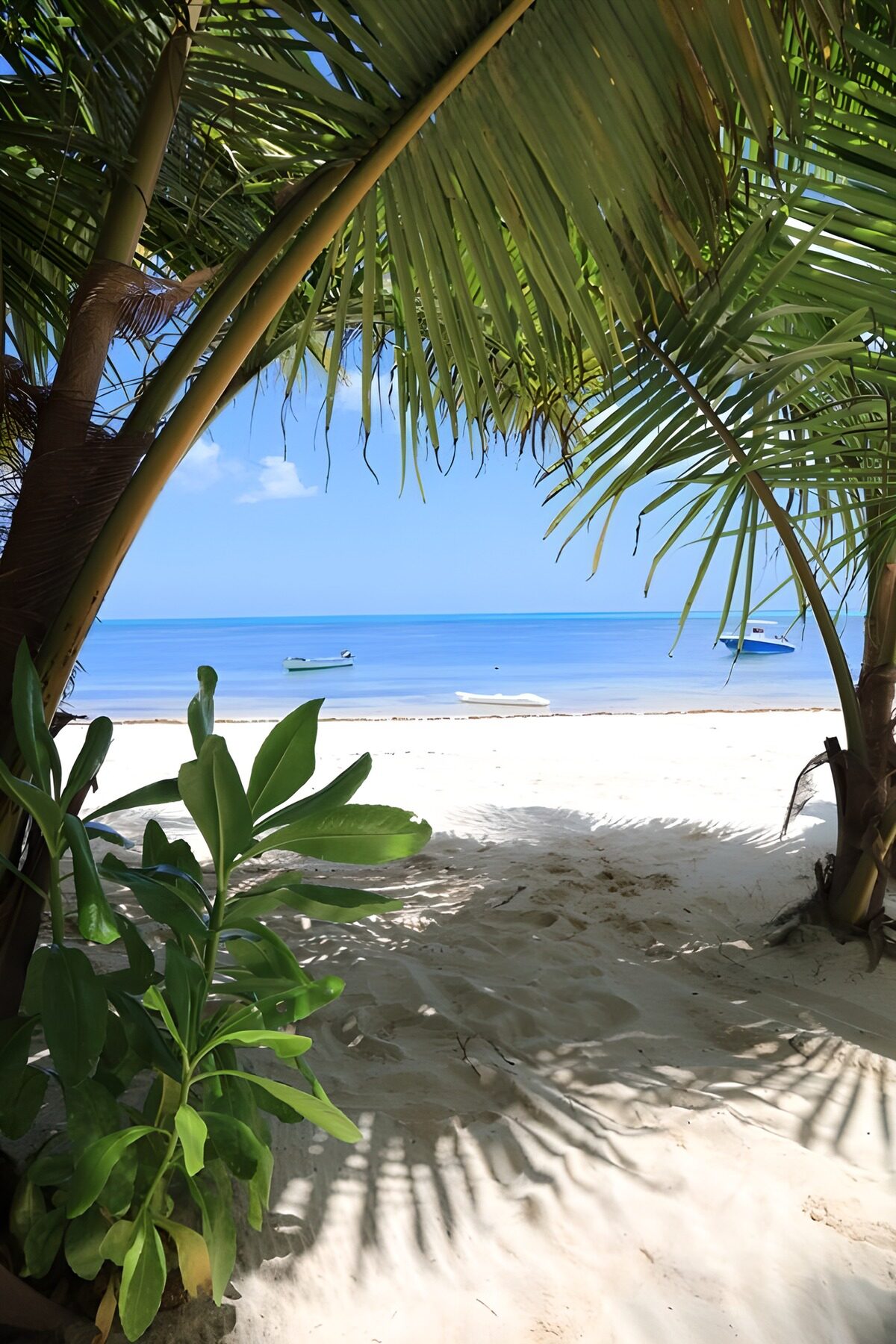 Tropisch uitzicht vanaf het strand