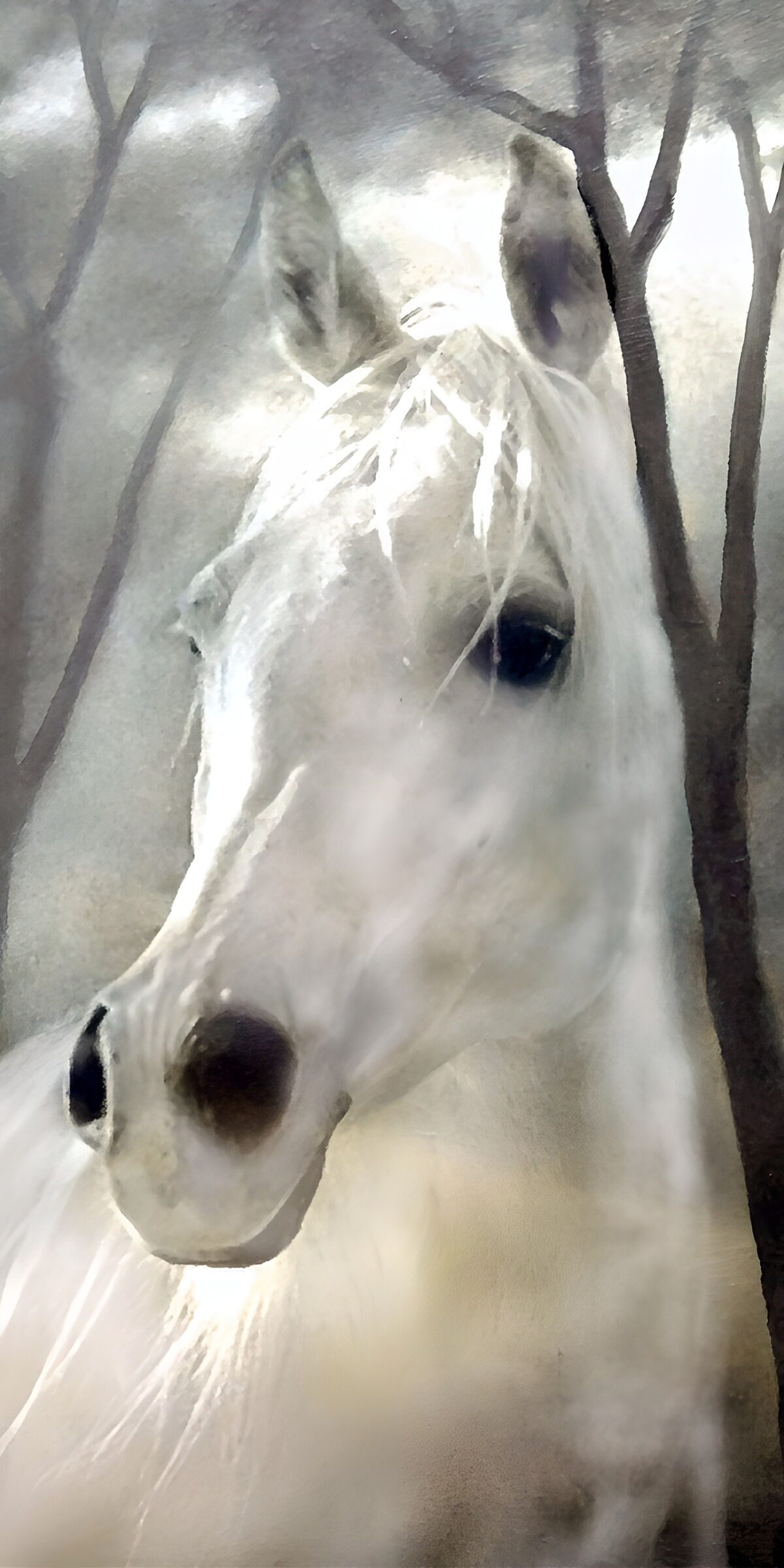 Mysterieus Witte Paard in het Bos