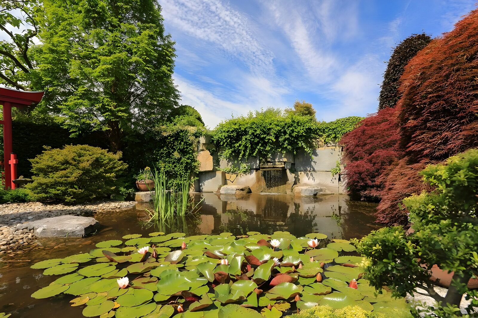 CW4395273: Rustige Japanse tuin met vijver
