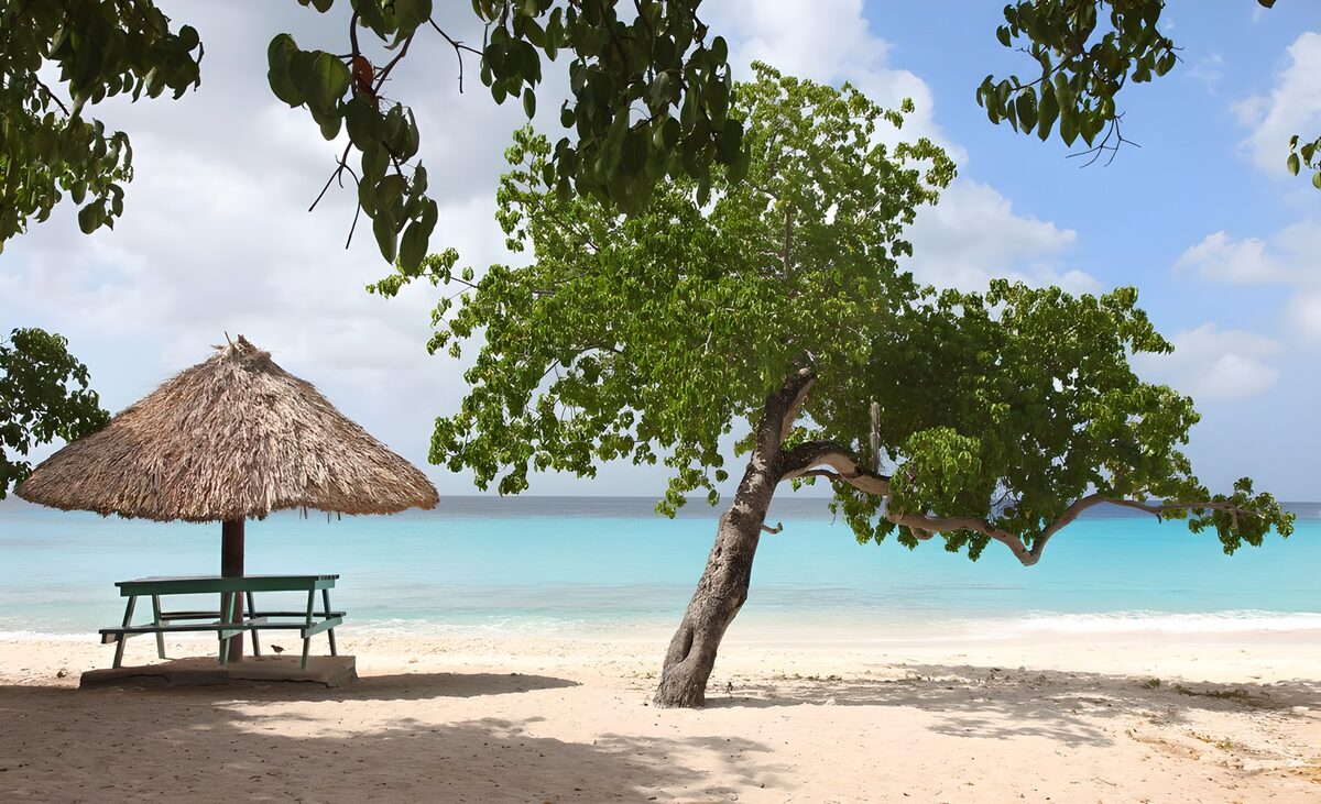 Paradijselijk strand met schaduwrijke boom
