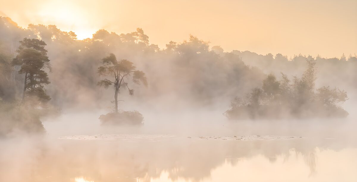 Mystiek Mistig Landschap bij Zonsopgang
