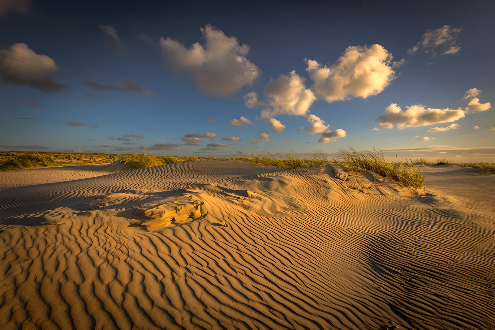 CW8379140: Zandduinen onder een blauwe lucht