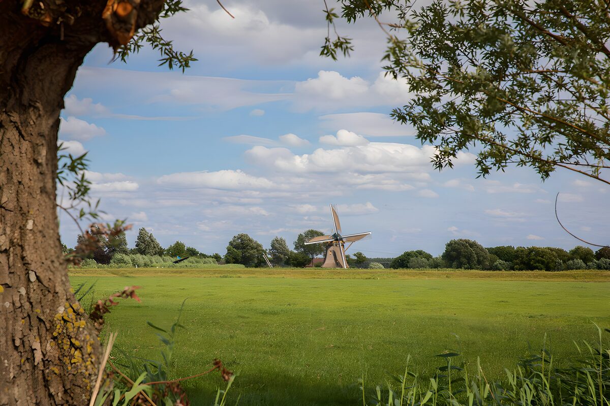 Windmolen in een Groene Landschap