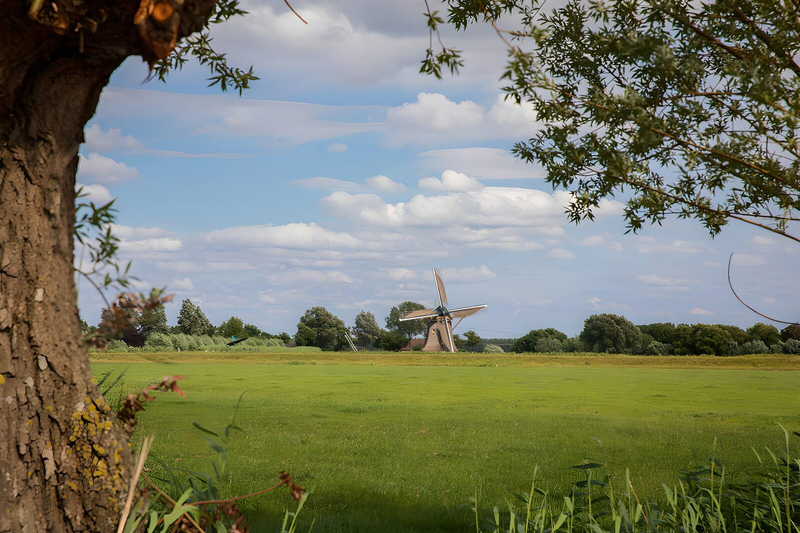 CW5212523: Windmolen in een Groene Landschap