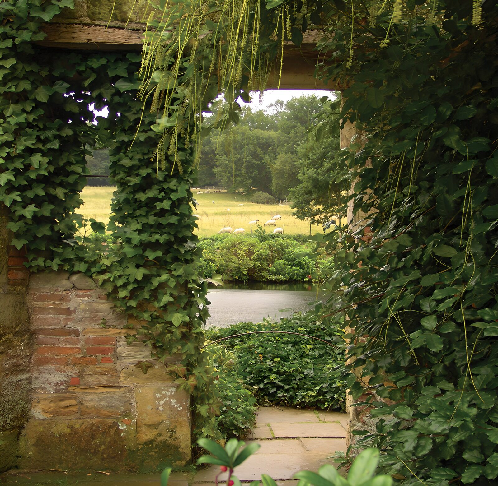 CW1770366: Weids uitzicht door een groen venster