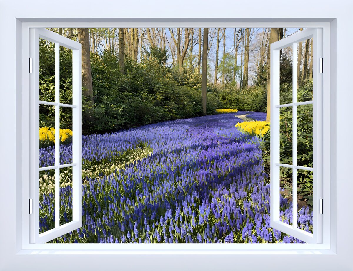Kleurrijk uitzicht op bloemenrijk