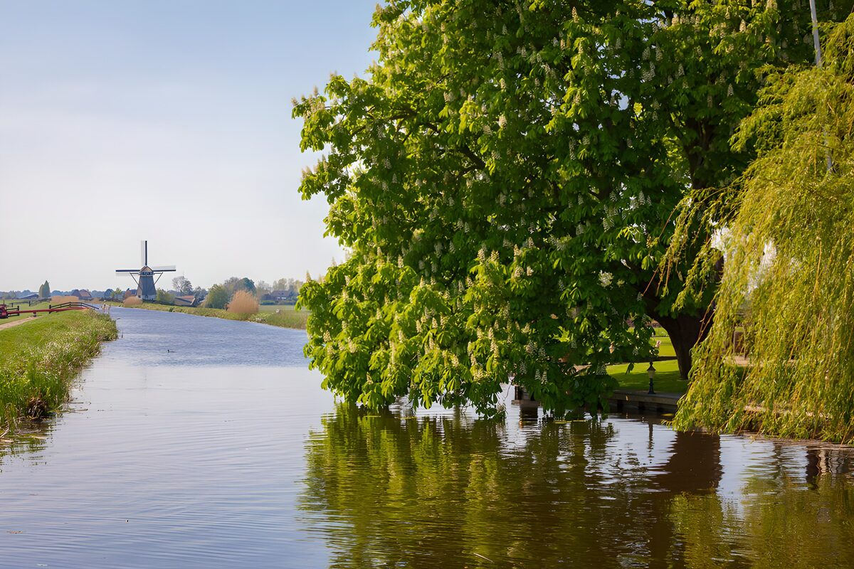 CW2783778: Rustig Hollandse landschap met molen