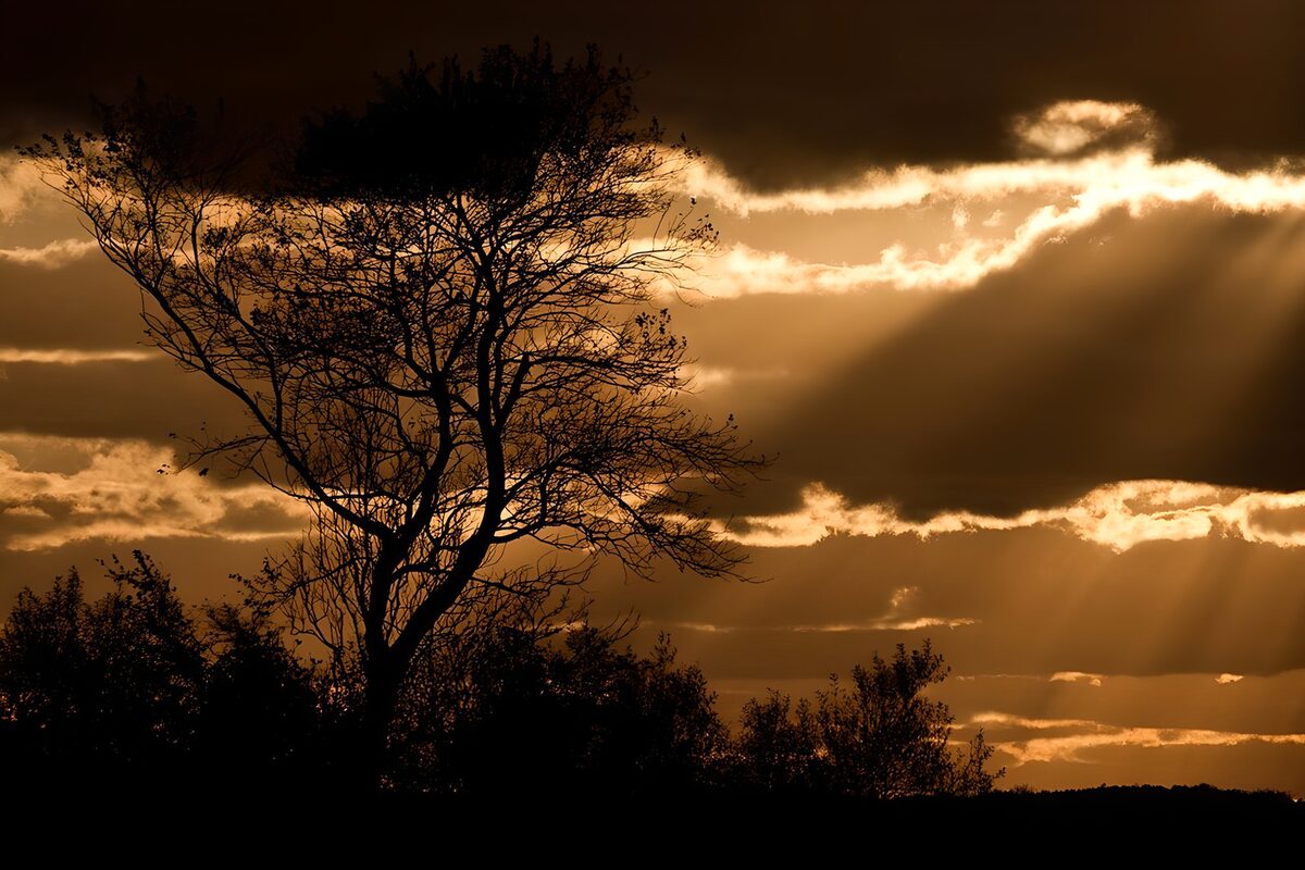 Betoverende zonsondergang met silhouet
