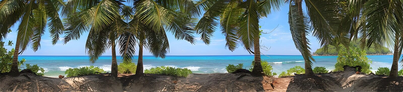 CW7279687: Tropisch strand met palmbomen