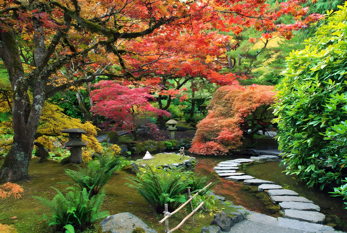 Kleurrijke Herfst in een Japanse Tuin