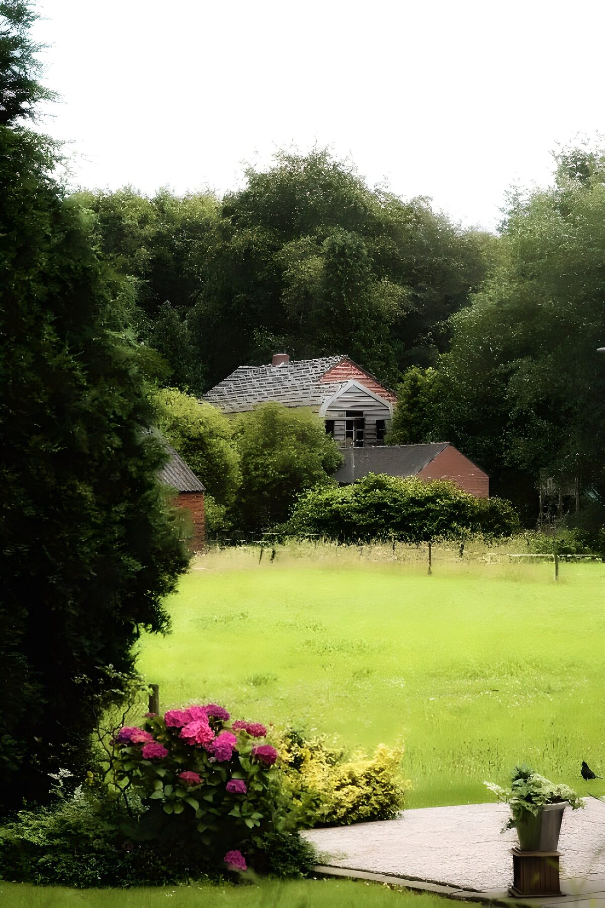 Vergezicht over het groene landschap