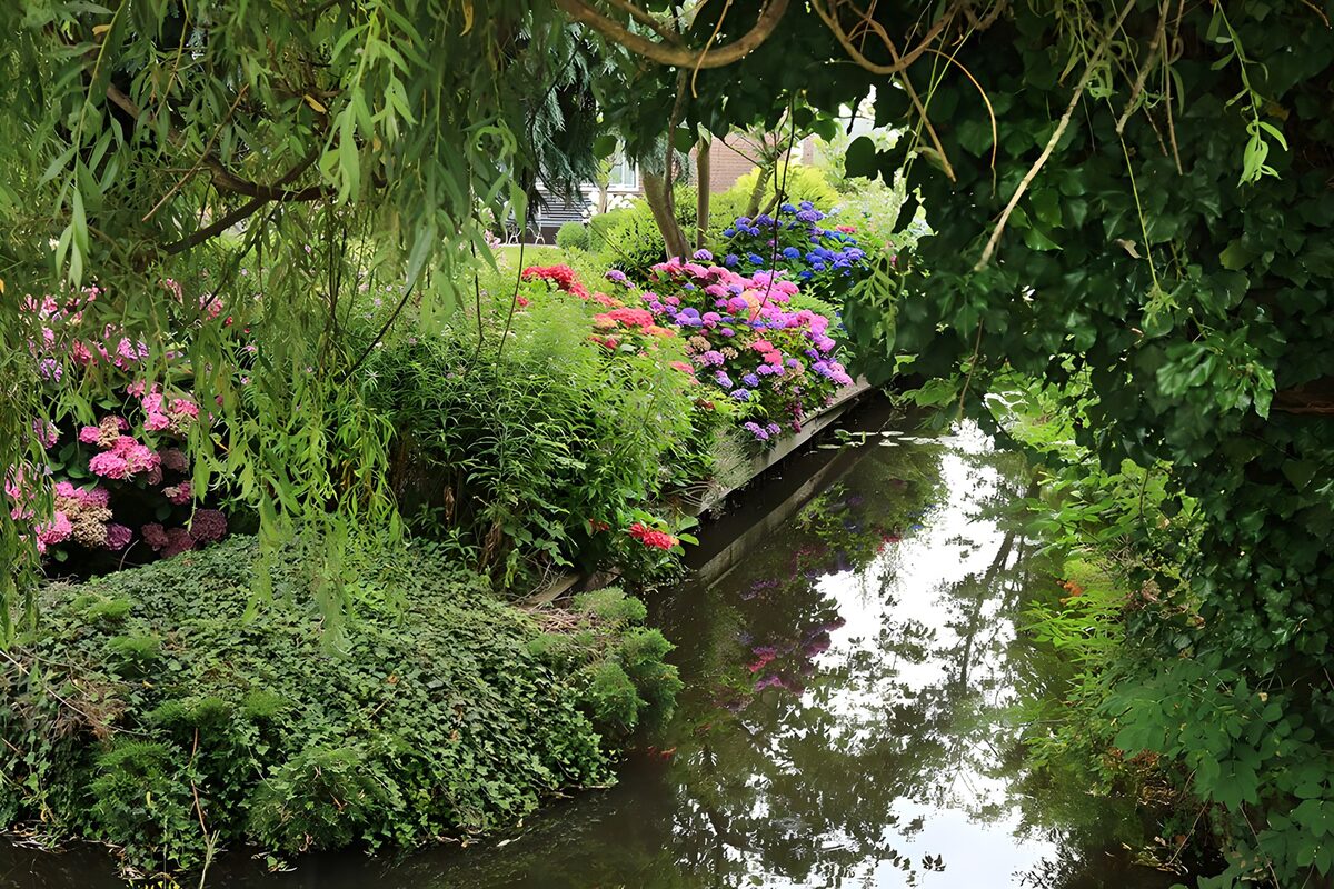 Kleurrijke bloementuin met vijver