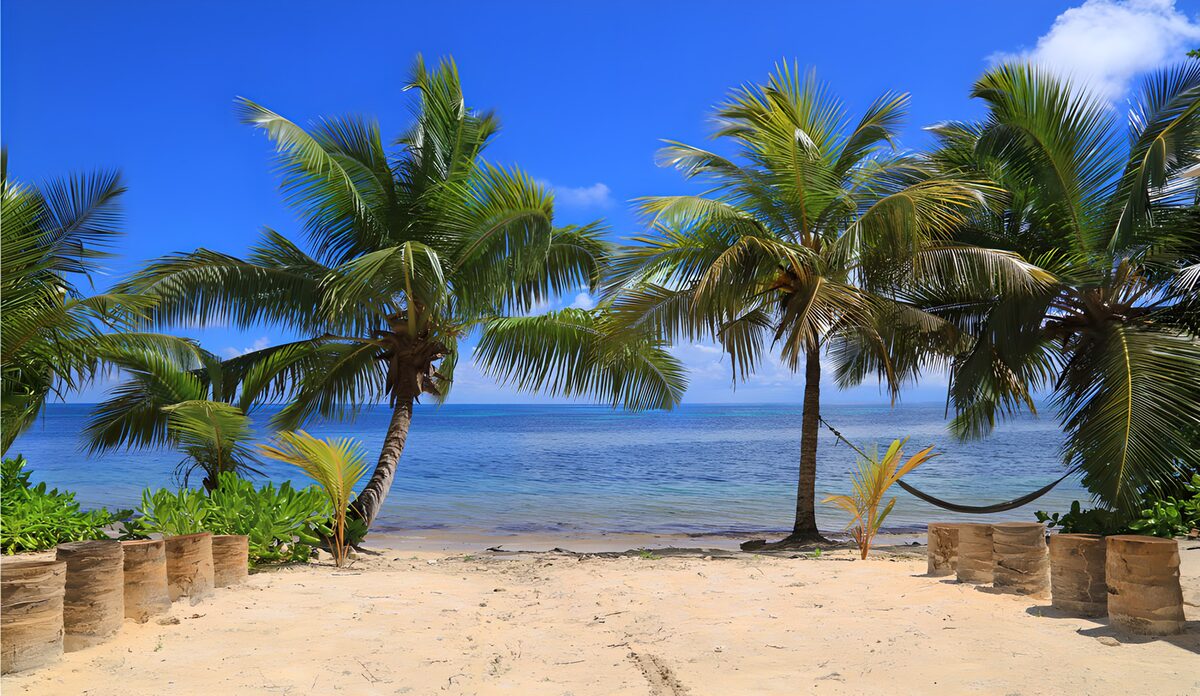 Tropisch strand met palmbomen
