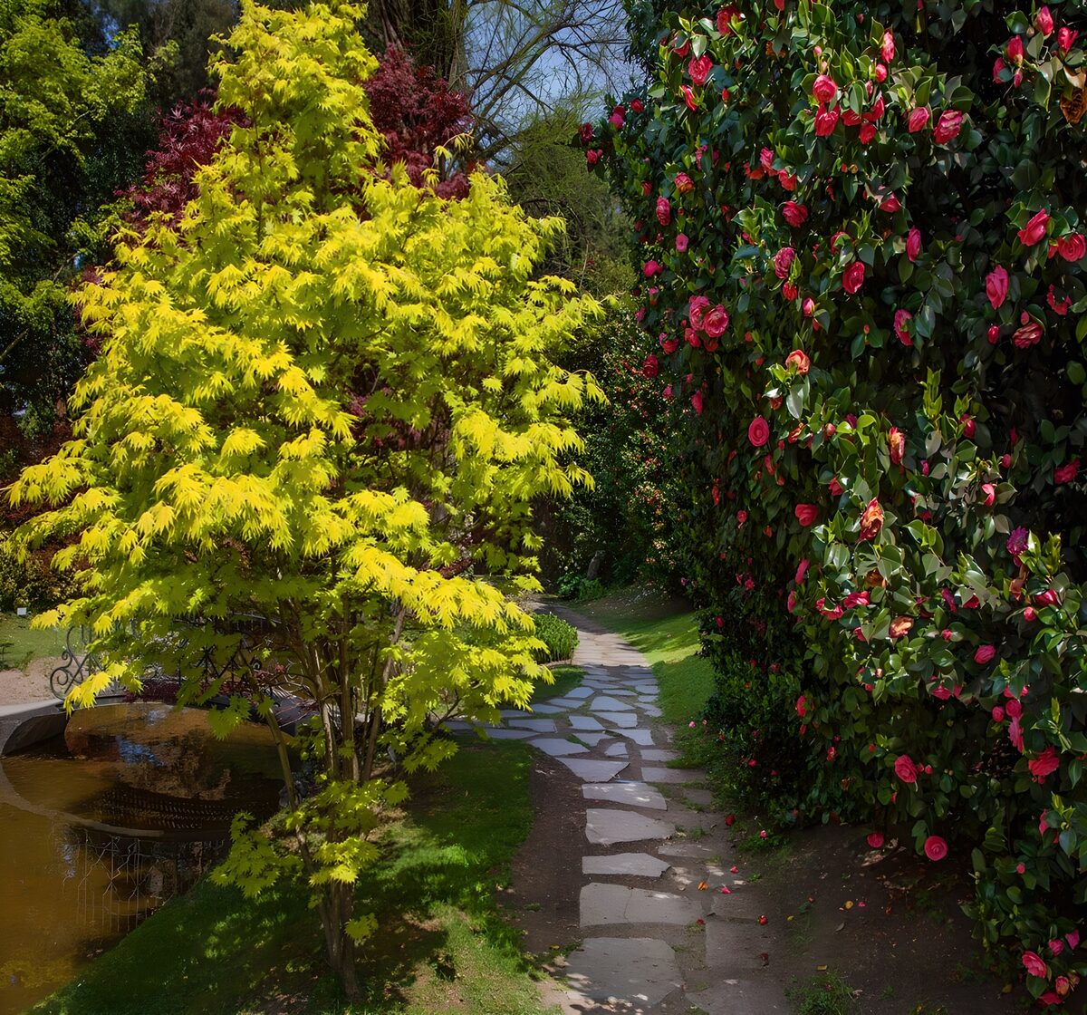 Kleurrijke tuin met pad en bloemen