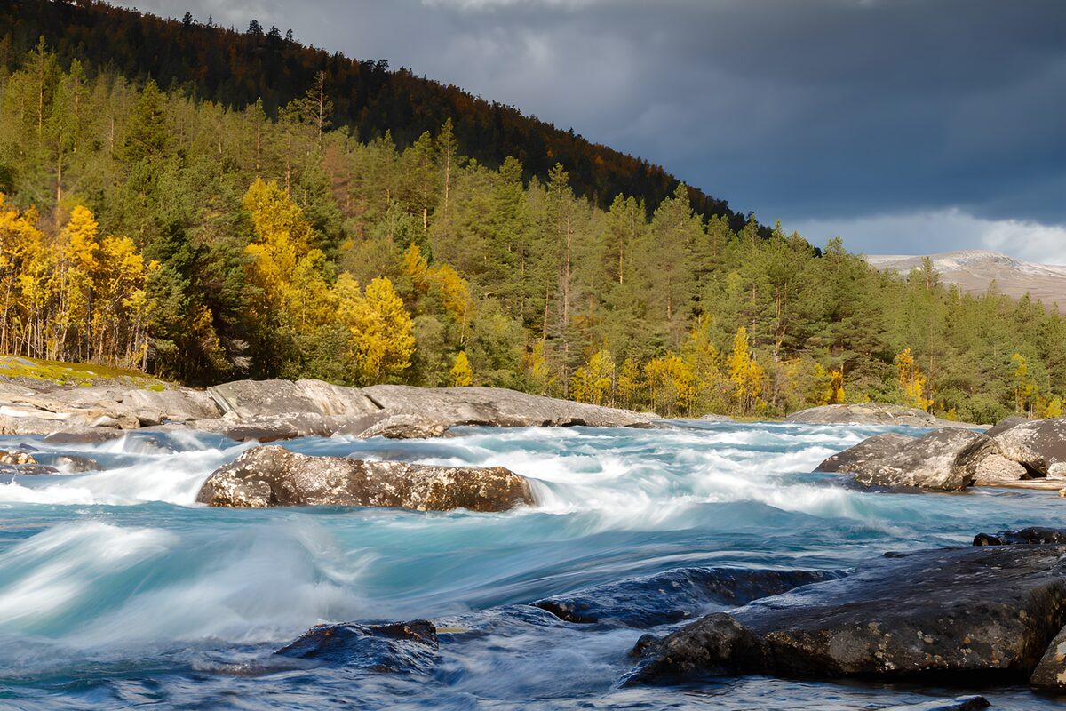 Stromende rivier omringd door herfstkleuren