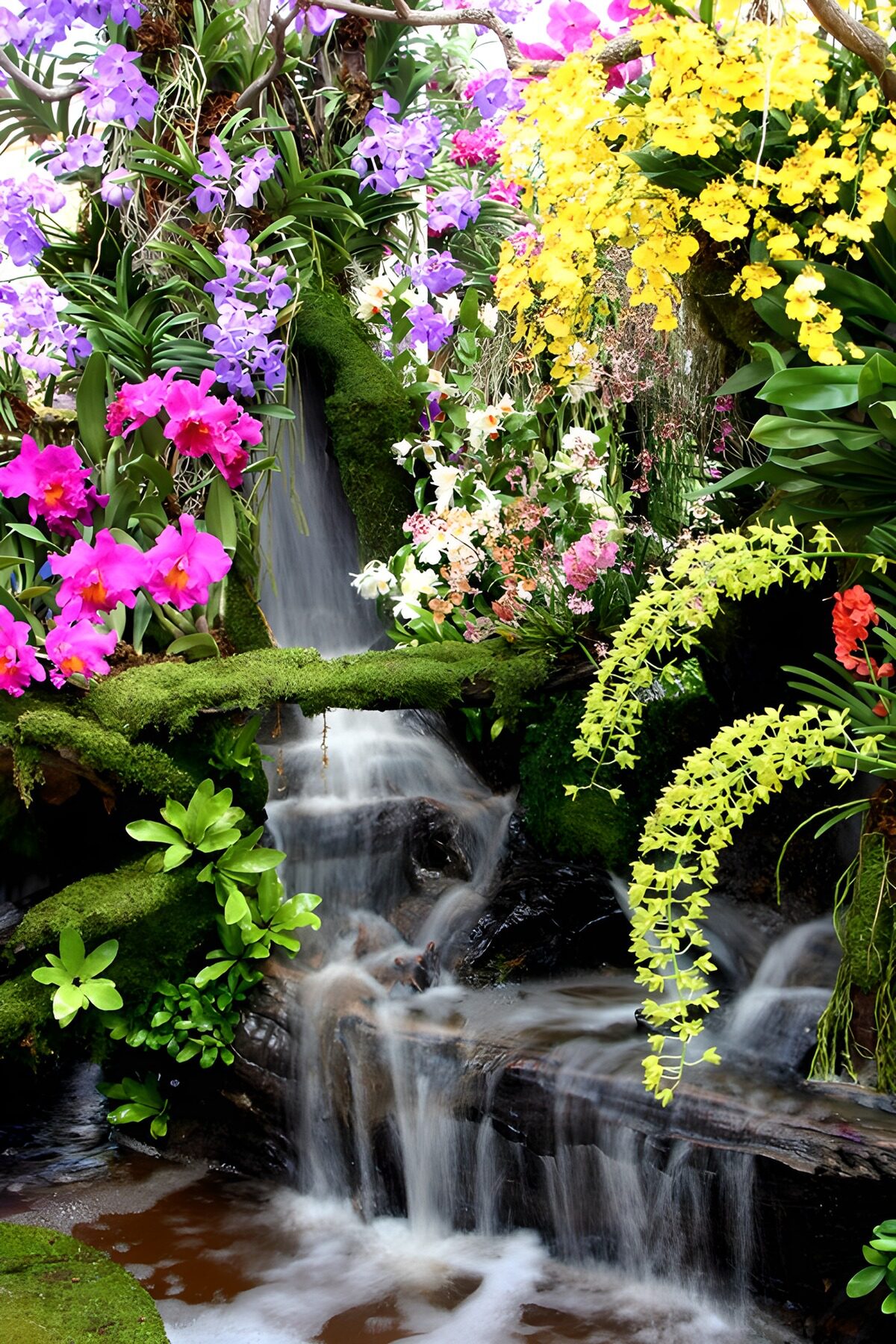 Kleurrijke waterval omringd door bloemen