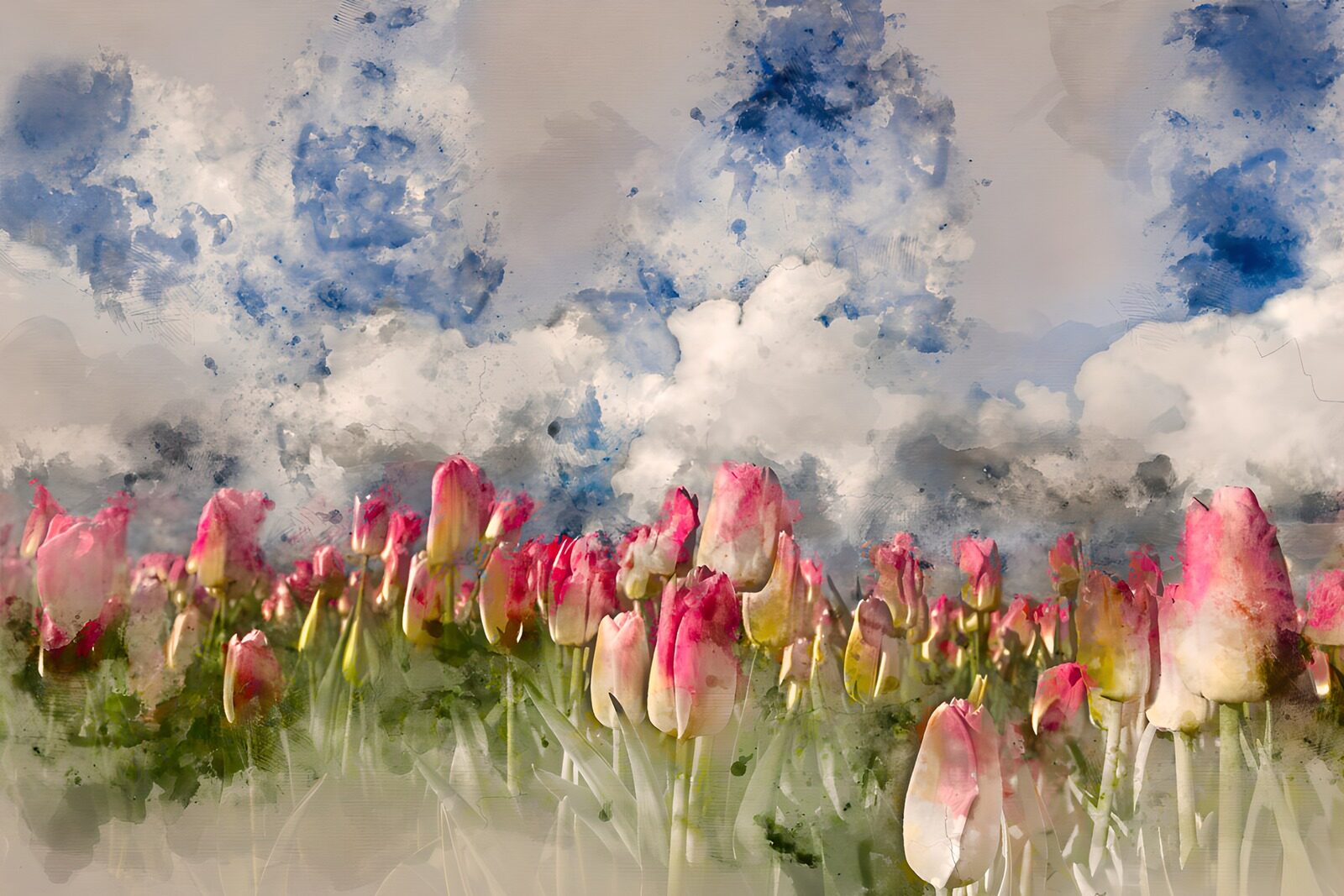 CW9102951: Roze tulpen onder een betoverende lucht